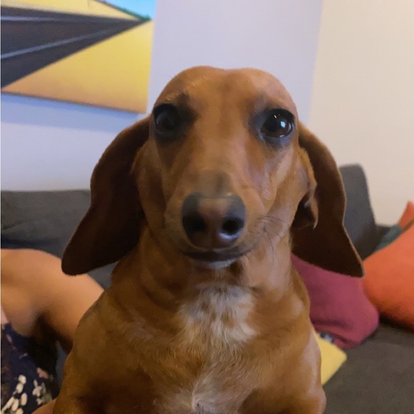 Meet your Posher, Ashwinwitt - Picture 1 of 1